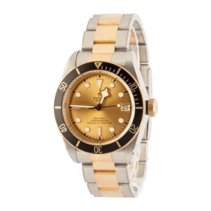 tudor black bay 79733 champagne dial